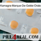 Kamagra-Marque-De-Gelée-Orale 24